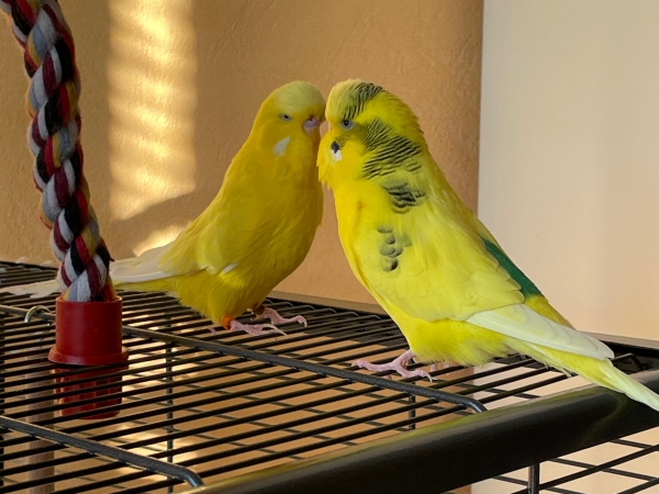 2 coole Burschen
