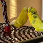 2 coole Burschen