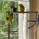 Die neue Dreierbande