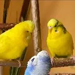 Nochmal ein Bild mit Moritz