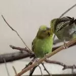 Doris & Valli 2