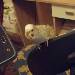 Wendy lernt sprechen 