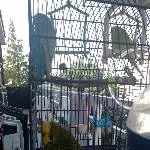 Urlaub auf Balkonien