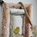 Hinter Glas - der Welliknast 