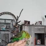 Mein Cocobaby beim Möhrenkrautsnack