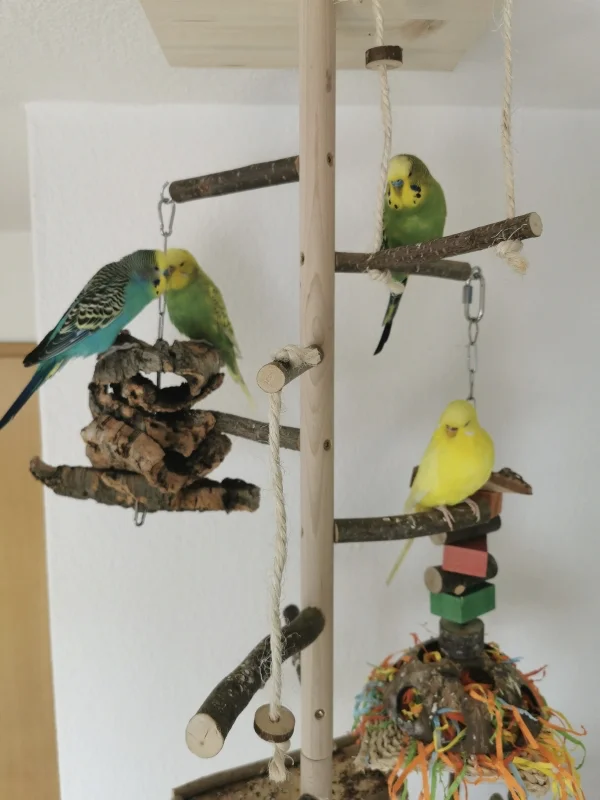 Wellensittich-Bild: Der neue Vogelbaum wird mittlerweile richtig gut angenommen. Unsere Plüschis verbringen nun fast den ganzen Tag darauf, schreddern und zwitschern fröhlich vor sich hin :) 