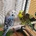 Album von Birdy92