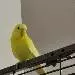 Sunny