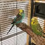 Hallo Felo :) 