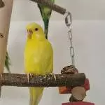 Sunny genießt die Sonne 
