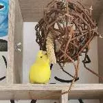 Stärkung für zwischendurch  