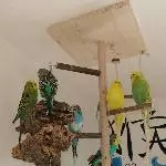 Unsere kleinen Schätze 