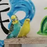 Malu mit seiner hübschen Sunny 