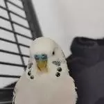 Kleine Plüschkugel 