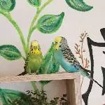 Lemon und Maxi pflegen eine intensive Hahn-Freundschaft 