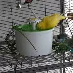 Sunny beim Duschen 