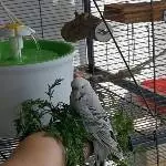 Mama, ich will aber nicht runter! 