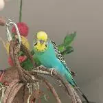 Hallo Felo! Ich sehe dich :) 