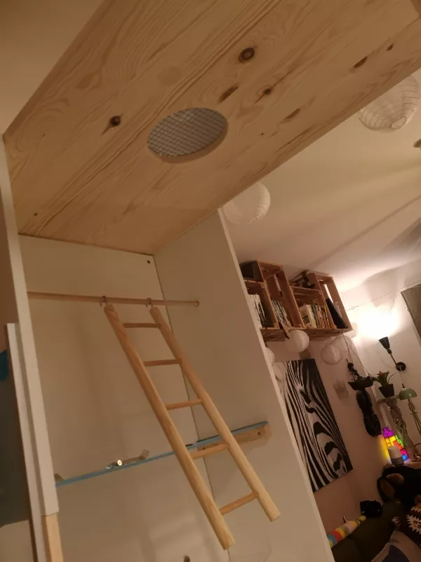 Wellensittich-Bild: In den zwei Deckplatten ist je ein Loch. 