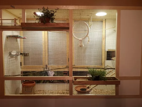 Wellensittich-Bild: Der Käfig ist fertig und hat zwei kleine Balkone bekommen. 