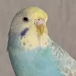 Mein Name ist Sally !