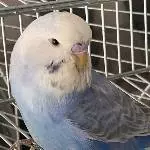 Mein Name ist Billy!