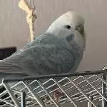  Und ich bin die Trixi!