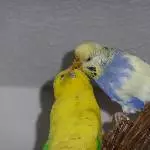 der lange Kuss