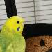 Das ist Mister Sunny