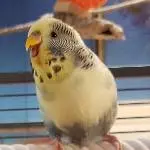 Emma macht Radau