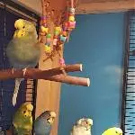 Gruppenbild mit Lederbändeln