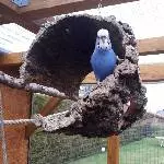 Hallo! Da bin ich