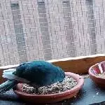 Hhhmmm lecker 