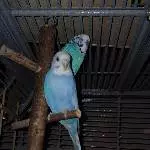 Luna und Pedro 