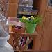 Urlaubsfeeling