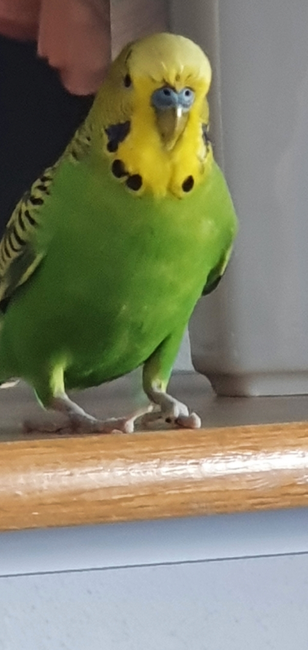 Azur