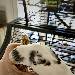 Yuki frisst aus der Hand