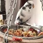 Frühstück angerichtet