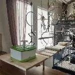 Wellihaus mit Badestation