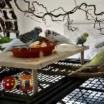 Frühstücksschmaus