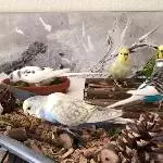 Welttreffen