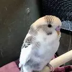Hallo ich bin neu hier