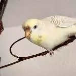 Unsere Königin