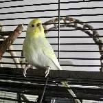 Unsere Diva