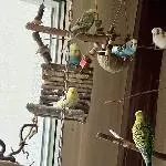 Die kleine Welli-Family