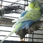 Schlaf gut kleine Lucy