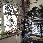 Mein kleines Vogelparadies