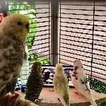 Video Nachmittag
