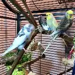 Zufriedene Truppe