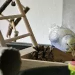 Lucy auf Entdeckungsreise